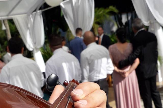 Violino solo