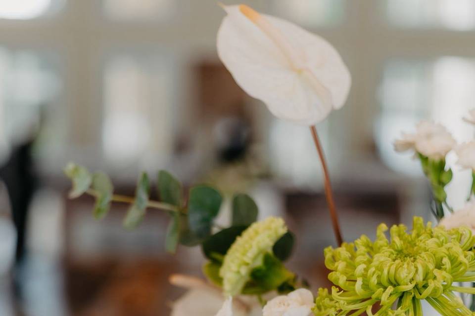 Buenos Art Floral