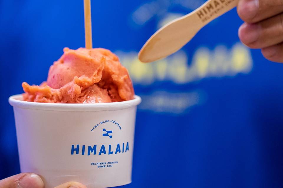 Himalaia Company