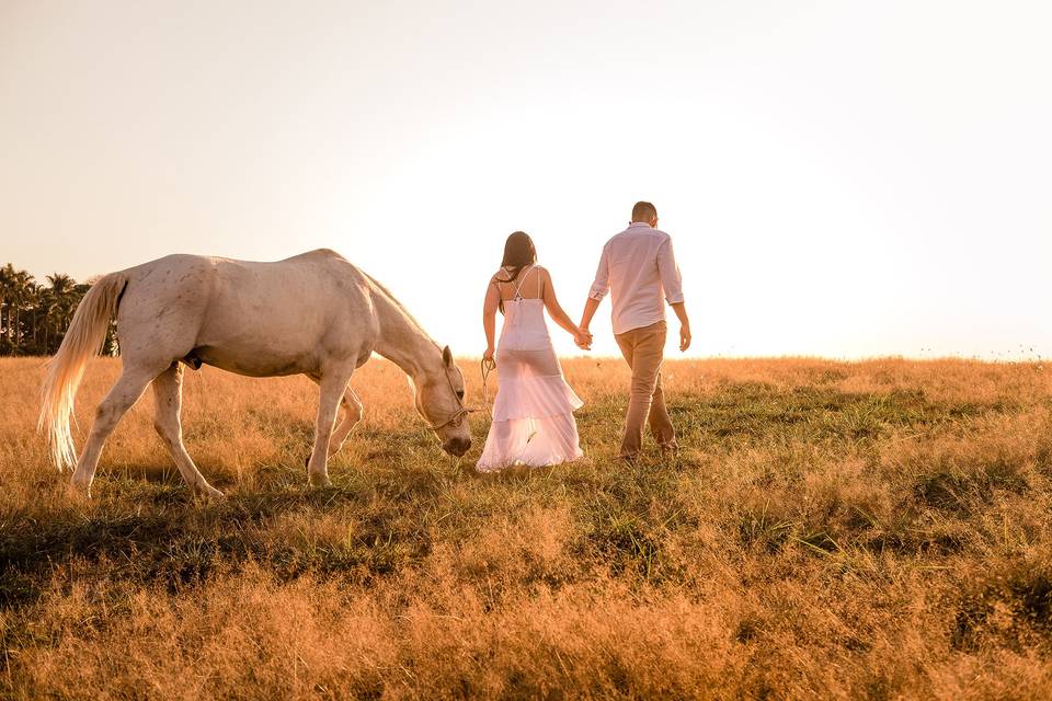 Ensaio no campo