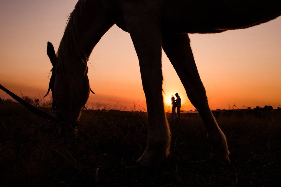 Ensaio no campo