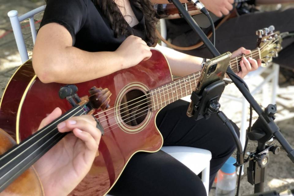 Música ao vivo de casamento