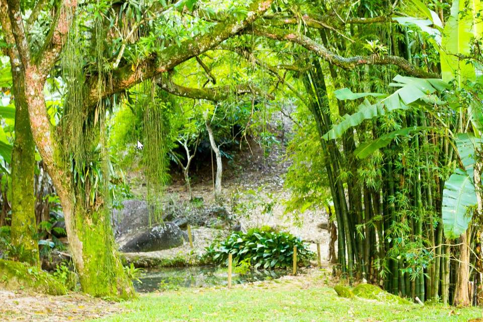 Area de casamento natural