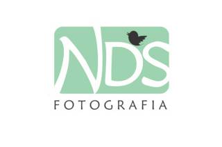 Nds logo