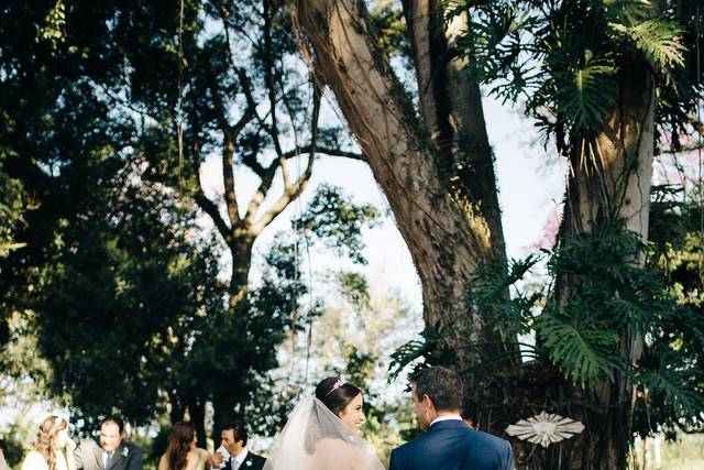 O Belo está nos detalhes