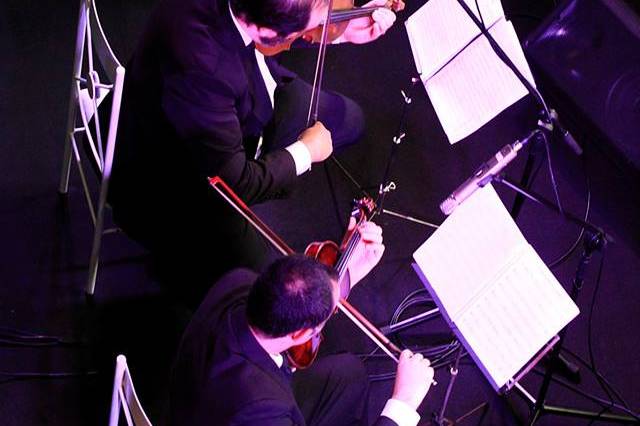 Musical camerata