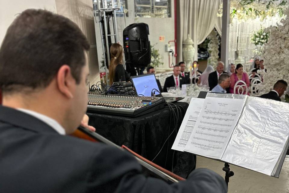 Violoncello