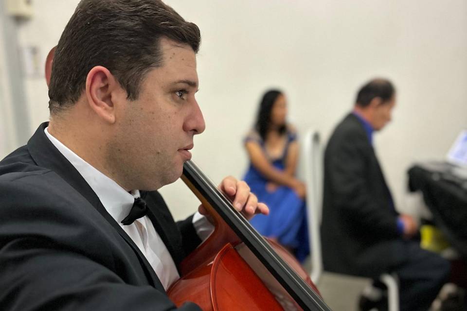 Violoncello