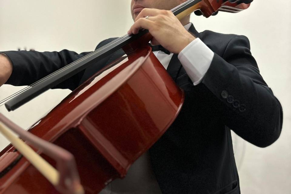 Violoncello