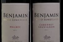 Vinhos Benjamin Nieto Senetiner