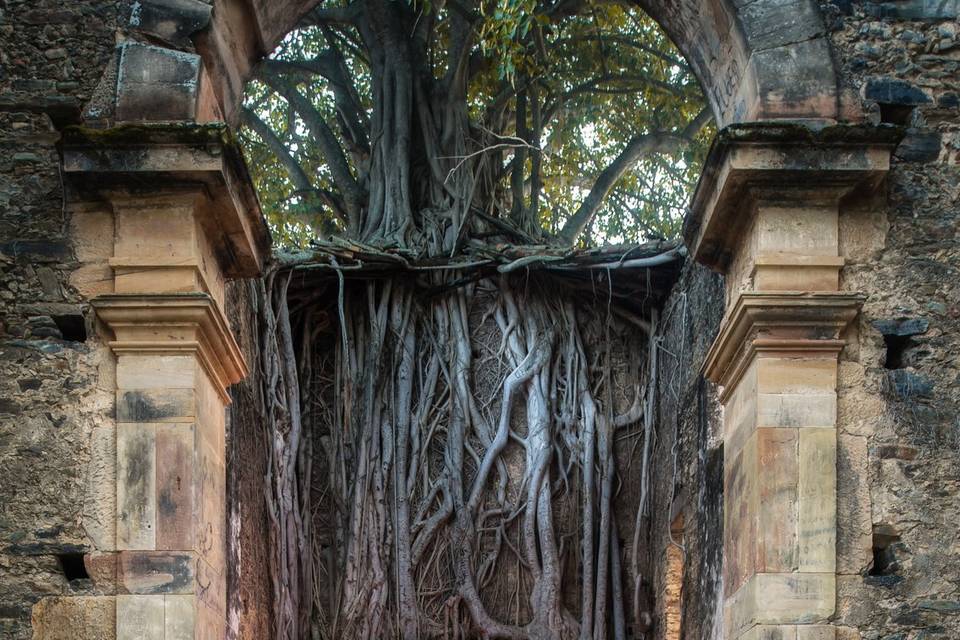 Ensaio Externo