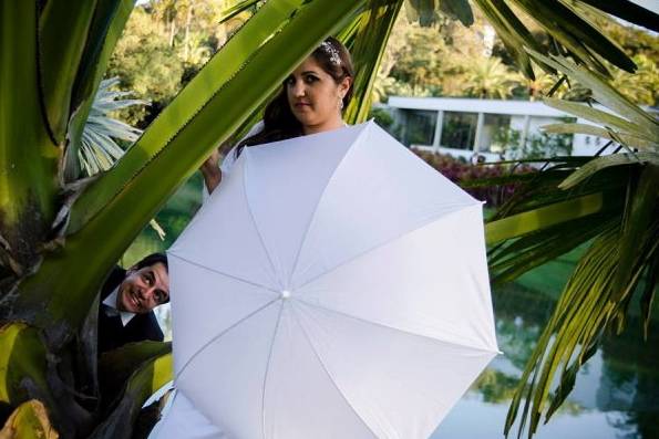 Sonhos