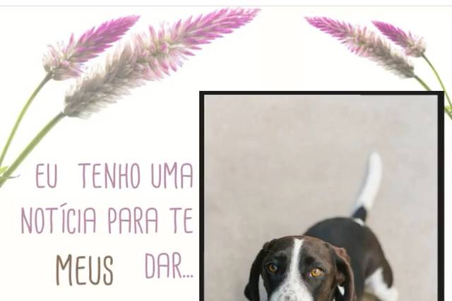 Save The Date Pet