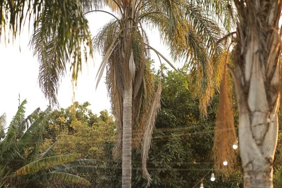 casamento por do sol