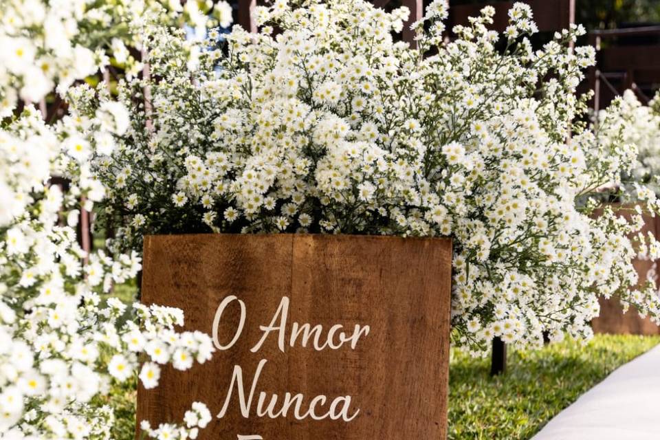 Decoração com aster