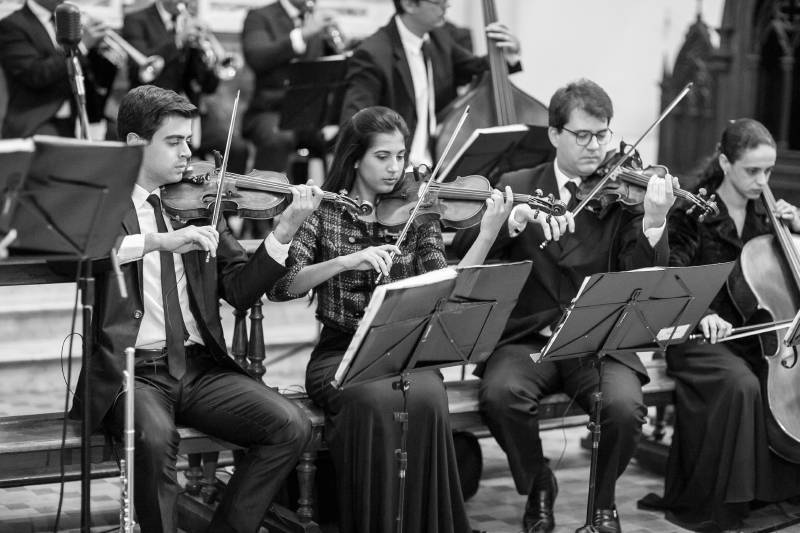 Violinos