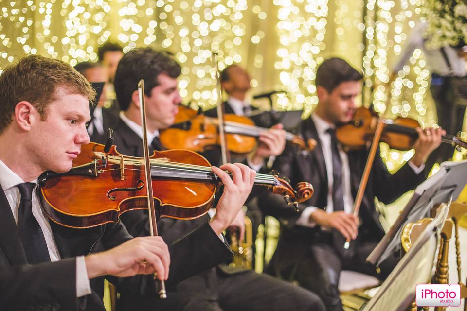 Violinos