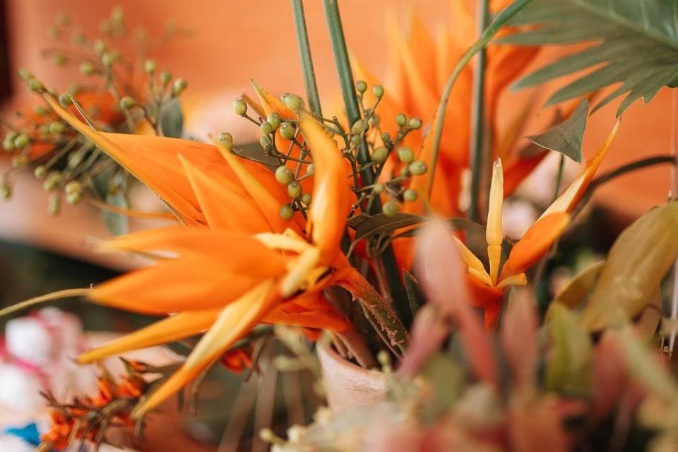 Decoração parceira