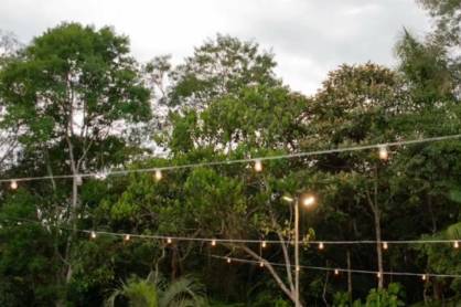 Lindos na natureza