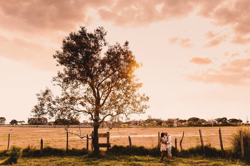 Alexandre Mereu Fotografia