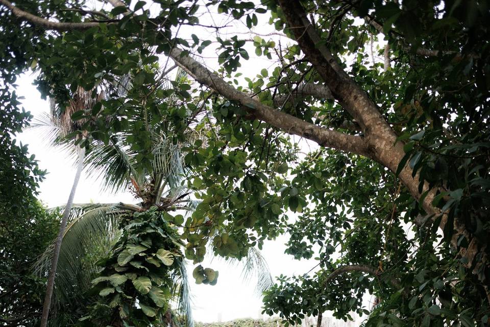 Casamento M&G - Tulum México