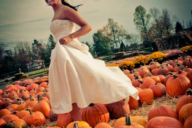 Vanessa Freire Photography©