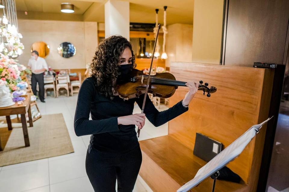 Violino