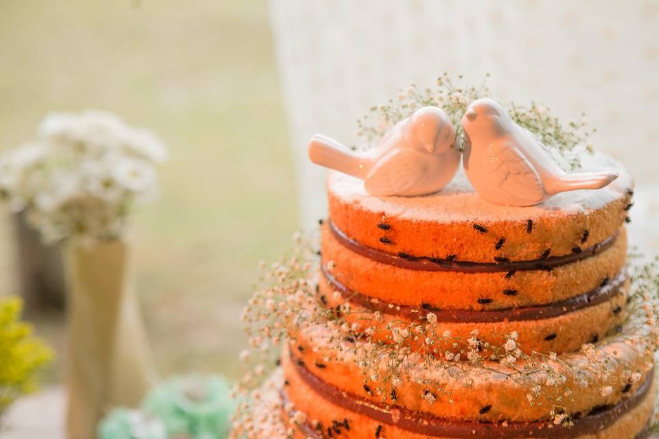 Fotógrafo Casamento, Rio