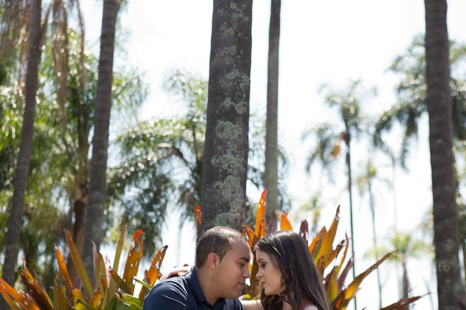 Fotógrafo Casamento, Rio