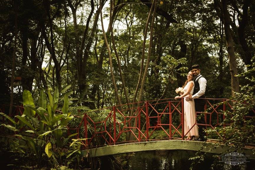 Trash the dress