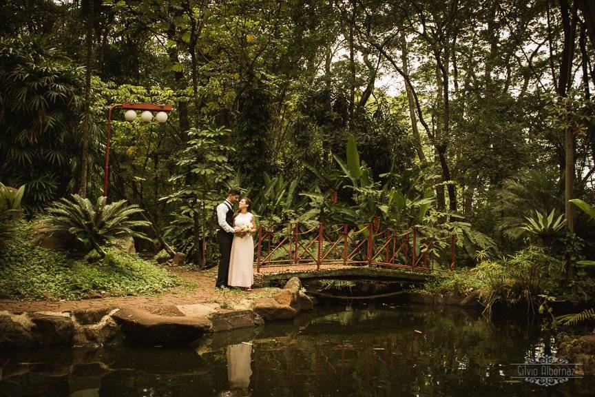 Trash the dress