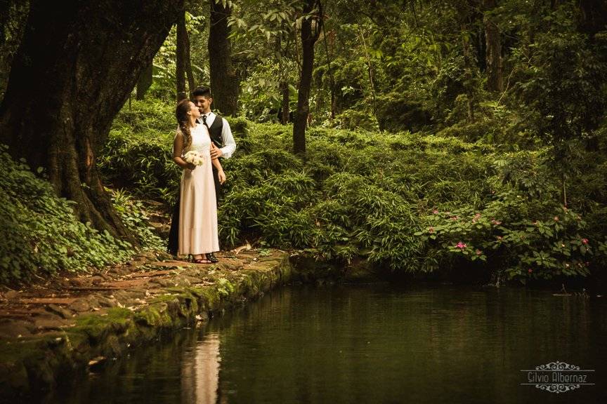 Trash the dress