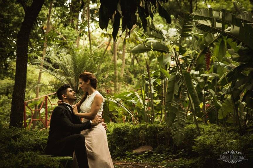 Trash the dress