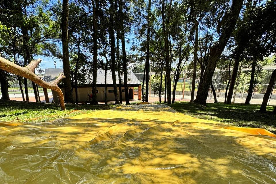 Salão Gralha Azul