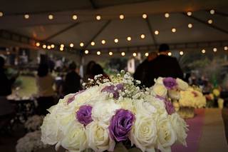 Entre Laços e Enlaces Eventos