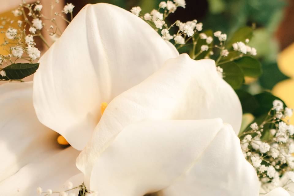 Detalhes - casamento
