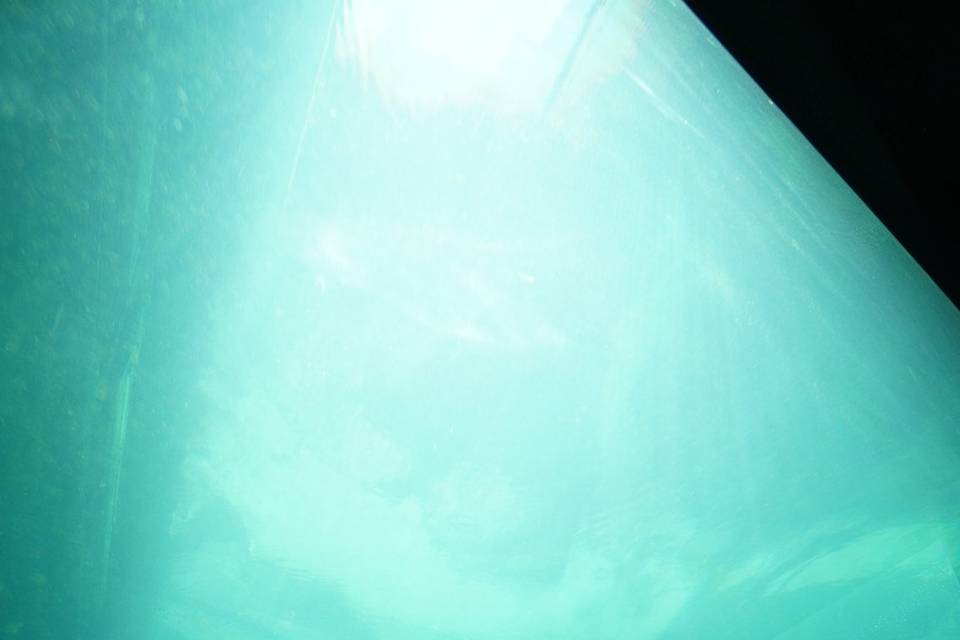 Visor Casa de Máquinas