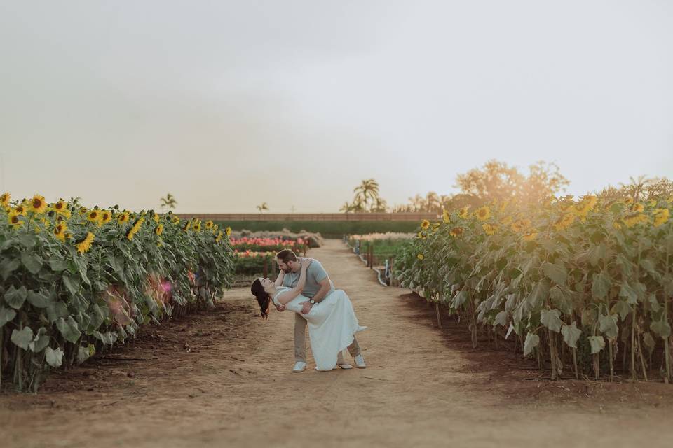 Pré Wedding Dani e Bruno