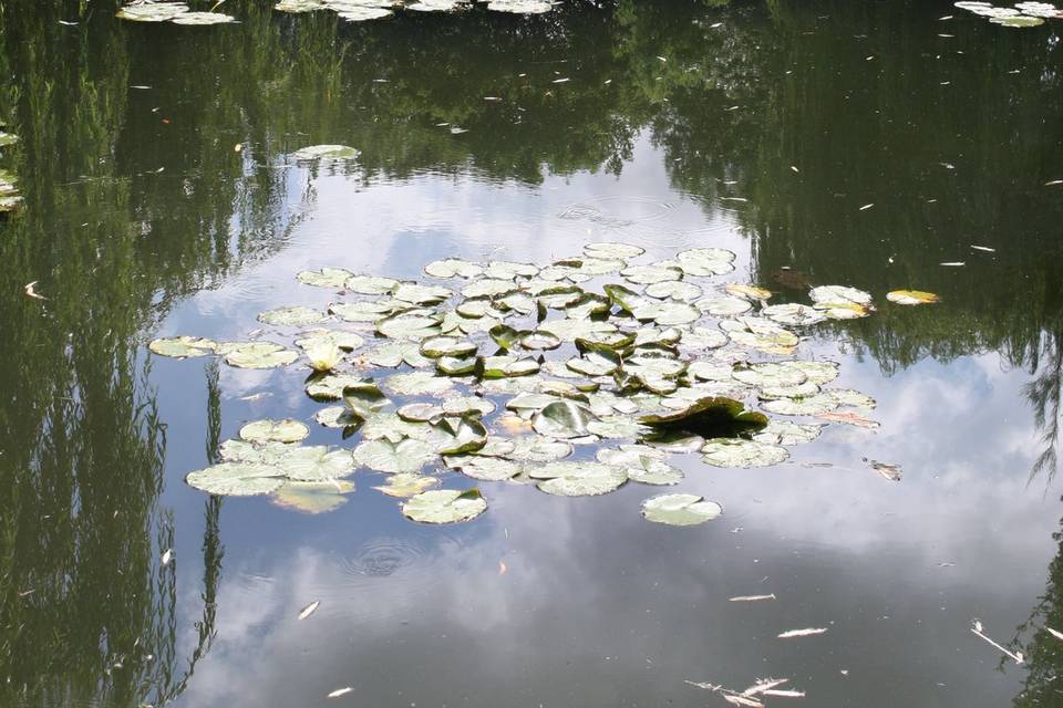 Giverny - França