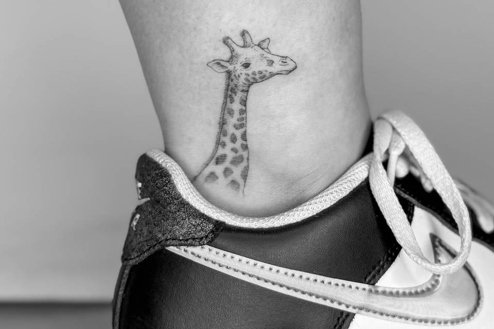 Girafa