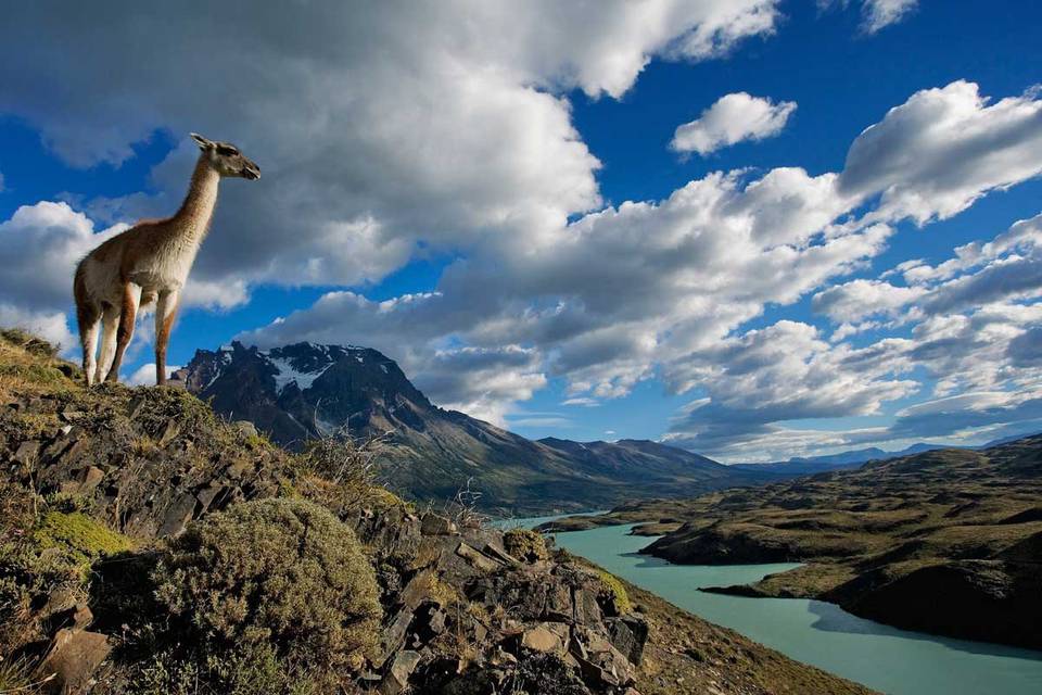 Torres del Paine - Chile