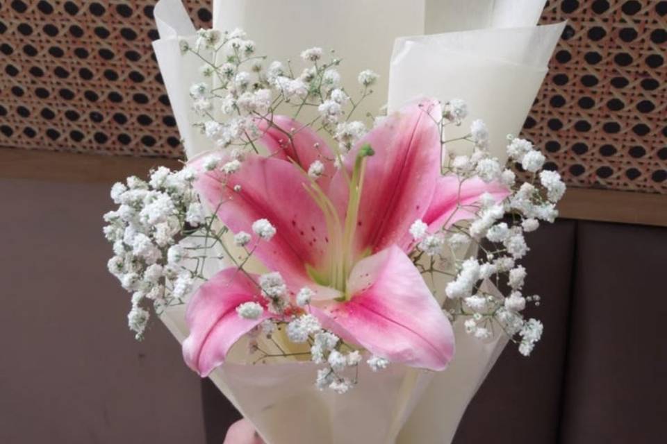 Flowers bar novidade