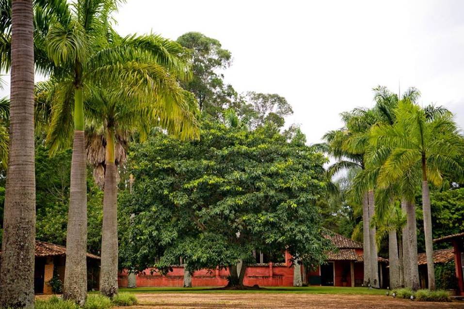 Fazenda das Cabras