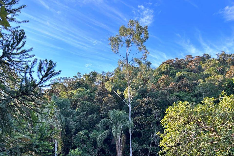 Beira do lago