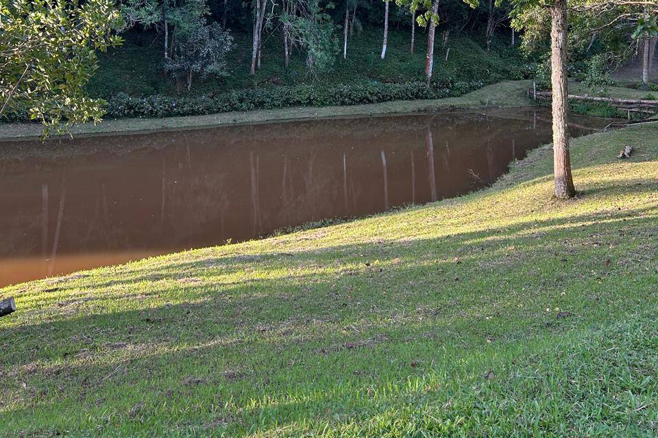 Caminho de hortênsias