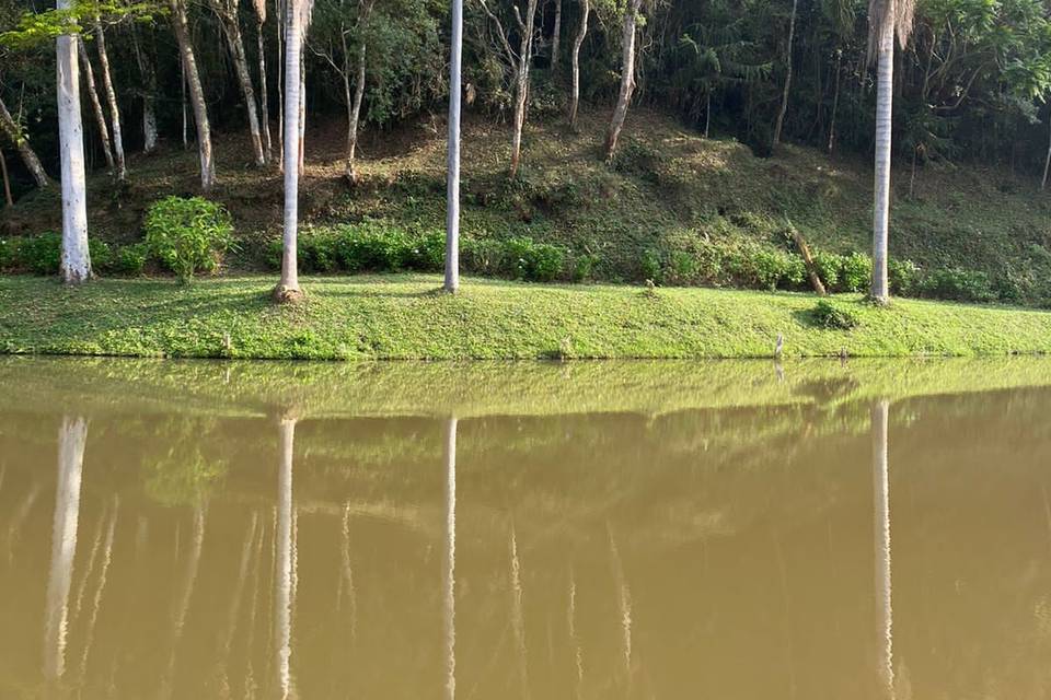 Caminho de hortênsias