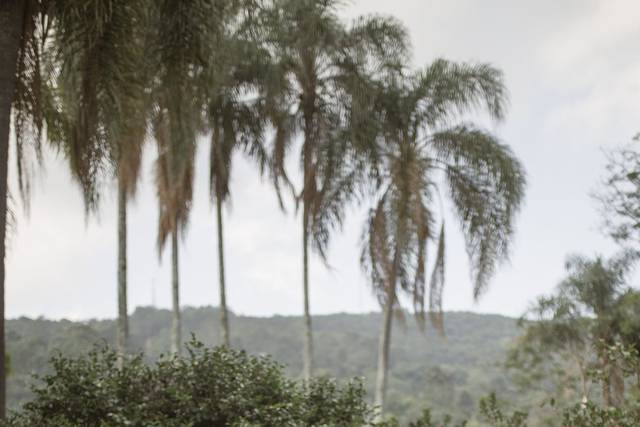 Gravura Fotografia