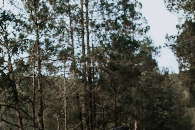 Gravura Fotografia