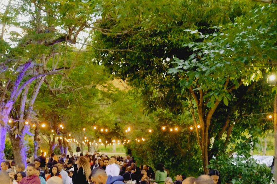 Casamento no bosque