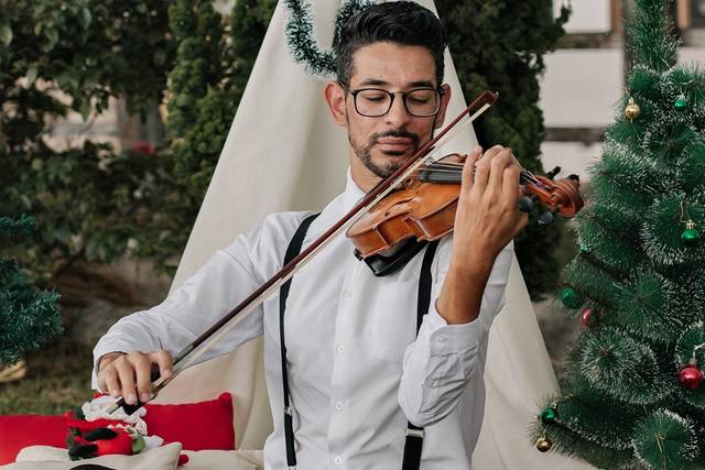 Violino